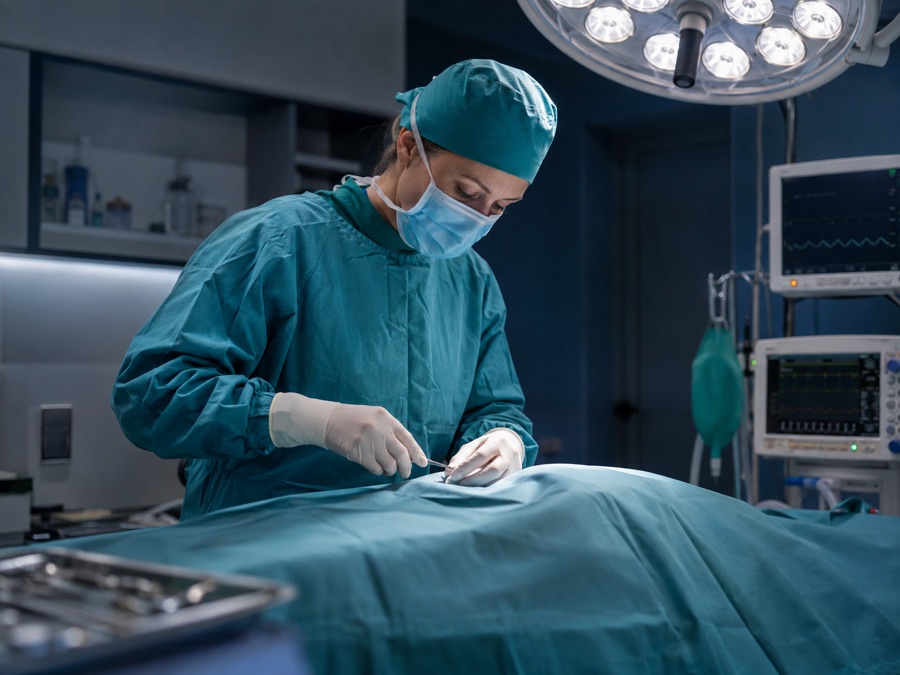 Equipo veterinario durante un procedimiento quirúrgico